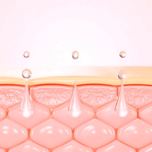 Hydrates While It Plumps